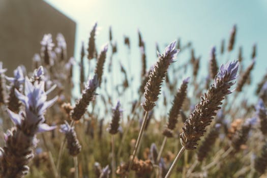 Beyond the Pitch Deck: Cultivating the Spirit of True Innovation